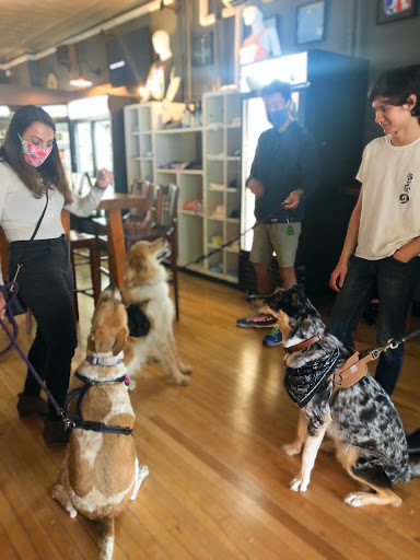 Beer Store «BEER SHOP», reviews and photos, 1026 North Blvd, Oak Park, IL 60302, USA