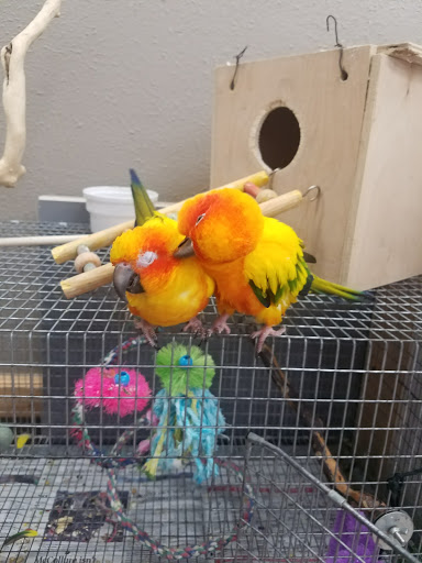 Pet Store «A to Z Pets», reviews and photos, 16010 SE Division St, Portland, OR 97236, USA