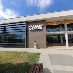 Halassy Olivér Sportközpont – Városi Uszoda