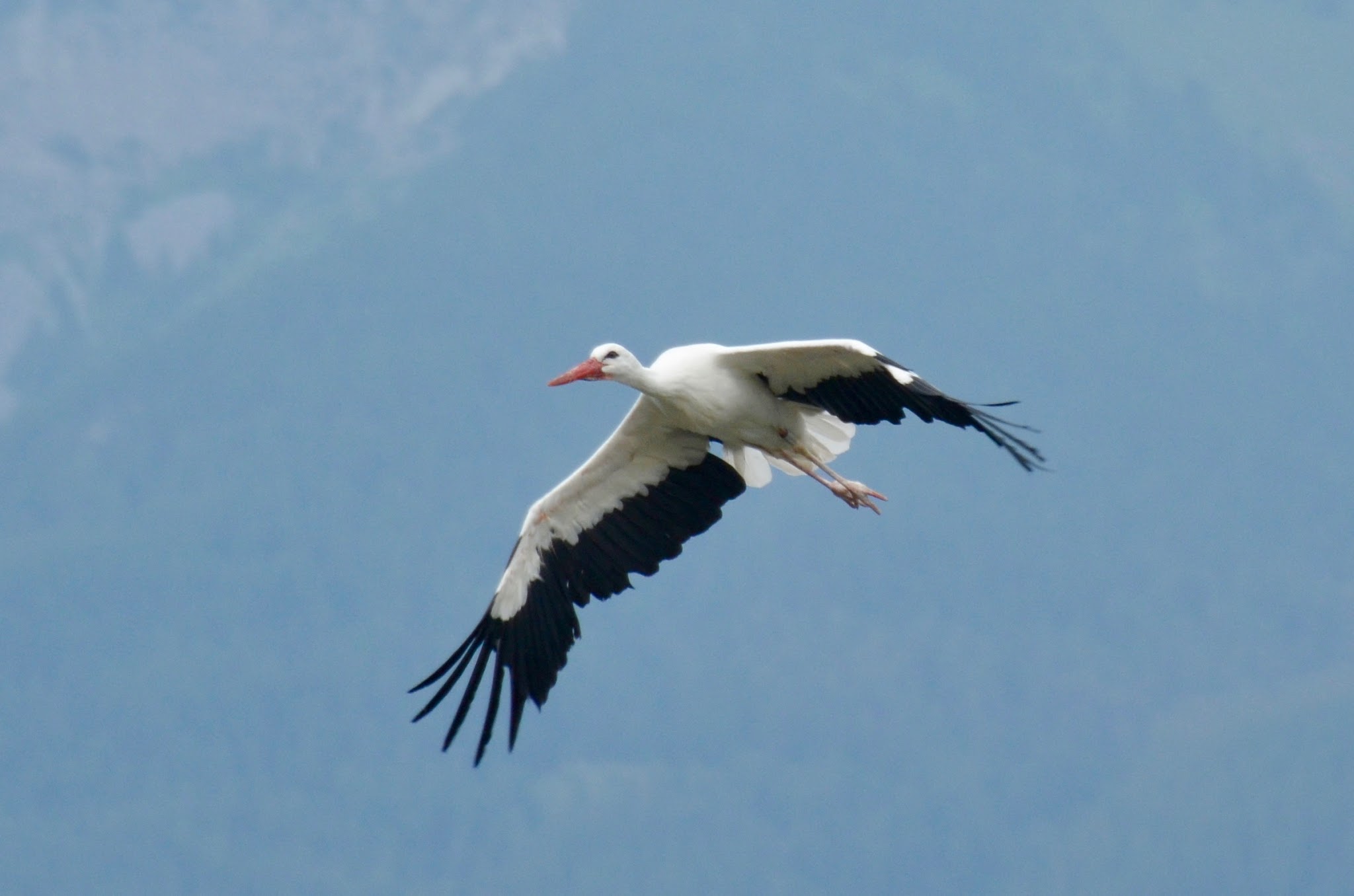 Photo n° 9 de l'avis de Sébastien.i fait le 24/06/2017 à 20:20