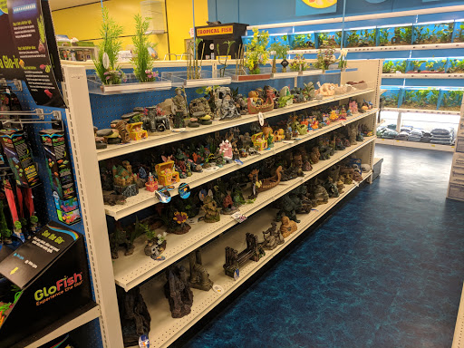 Pet Supply Store «Pet Supermarket», reviews and photos, 2449 S Hiawassee Rd, Orlando, FL 32835, USA