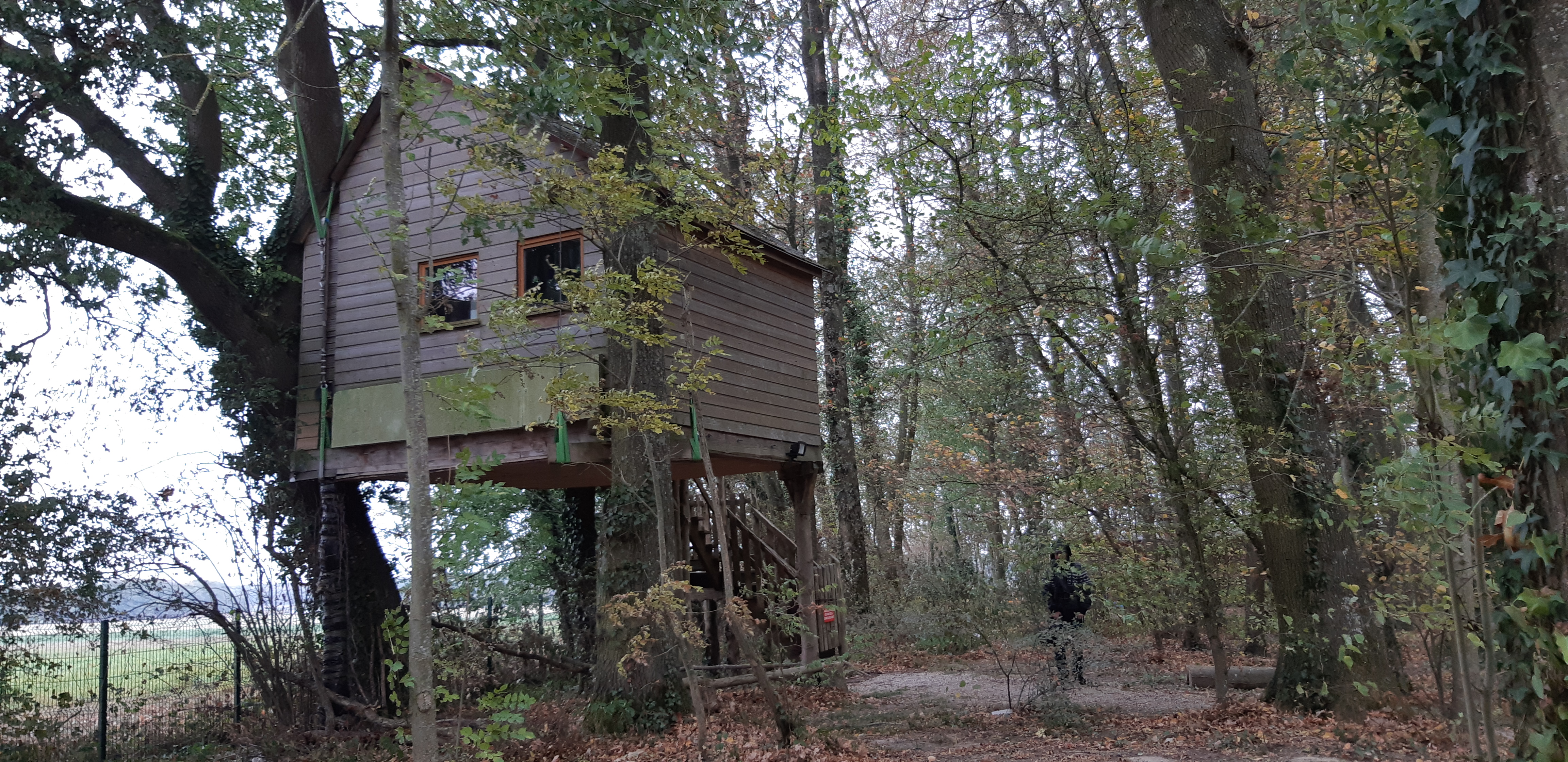 Photo n° 2 de l'avis de lksf.k fait le 31/10/2018 à 11:33