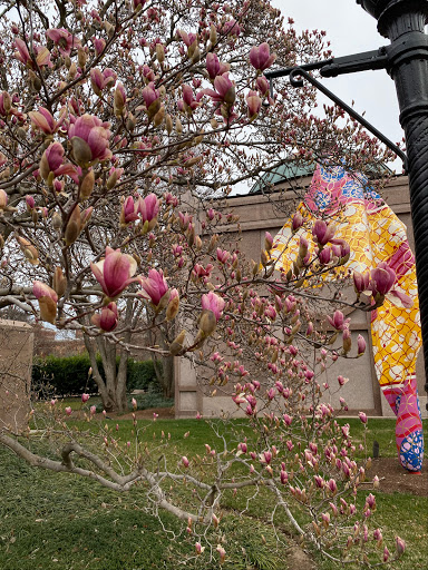 Museum «Smithsonian National Museum of African Art», reviews and photos, 950 Independence Ave SW, Washington, DC 20560, USA