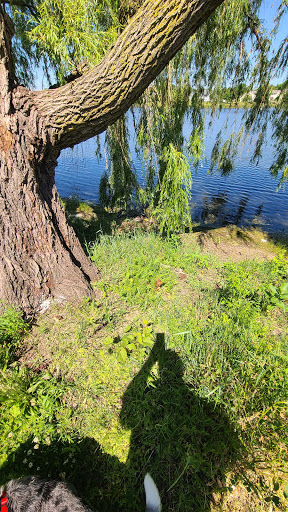 Park «Spring Lake Park», reviews and photos, 396 Springlake Ln, Aurora, IL 60504, USA