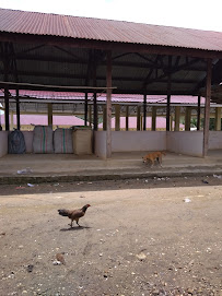 Foto TK  Satu Atap Desa Karya Makmur, Kabupaten Musi Rawas Utara