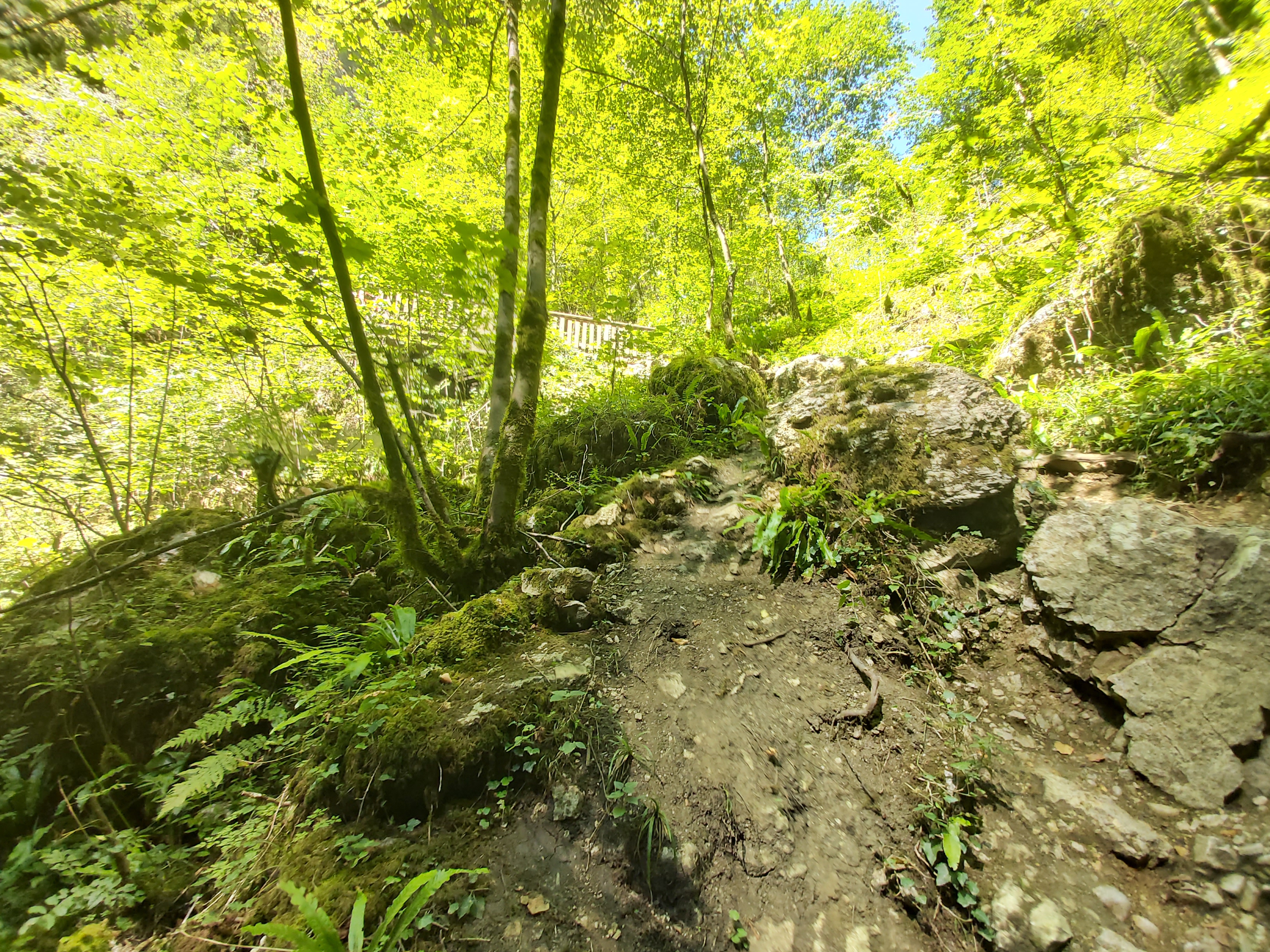 Photo n° 14 de l'avis de Océane.A fait le 21/08/2020 à 16:56