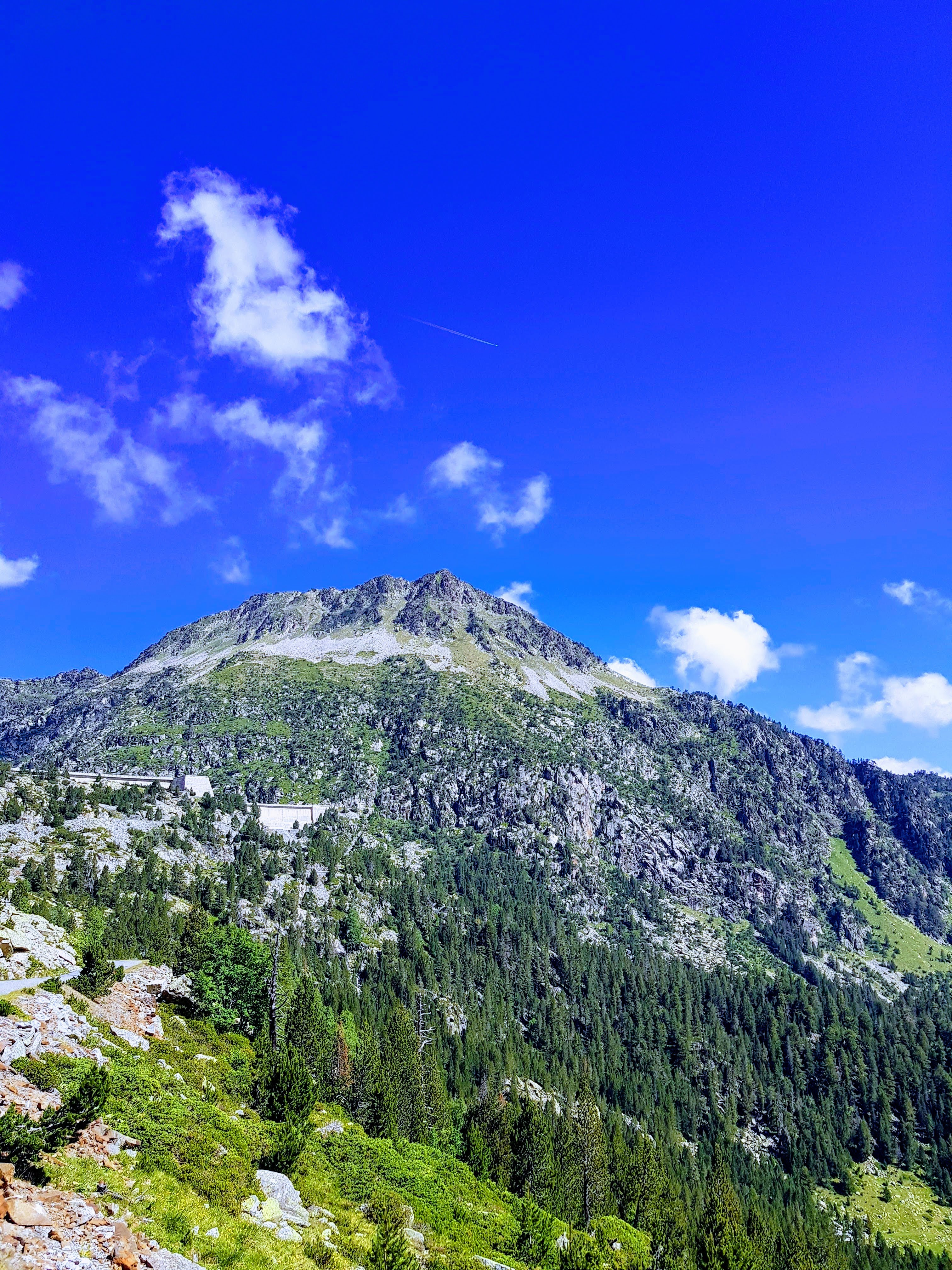 Photo n° 5 de l'avis de albert.u fait le 10/07/2019 à 13:10