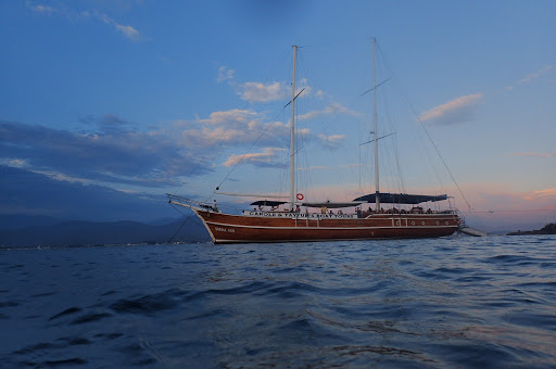 Carole And Tayfun Tours & Travels Agency