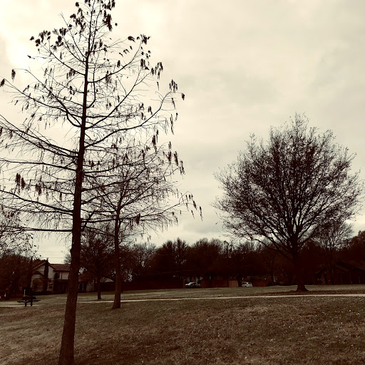 Park «Duck Pond Park», reviews and photos, 400 E Bethel School Rd, Coppell, TX 75019, USA