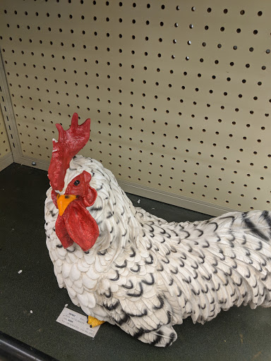 Craft Store «Hobby Lobby», reviews and photos, 1217 N Loop 336 W, Conroe, TX 77301, USA