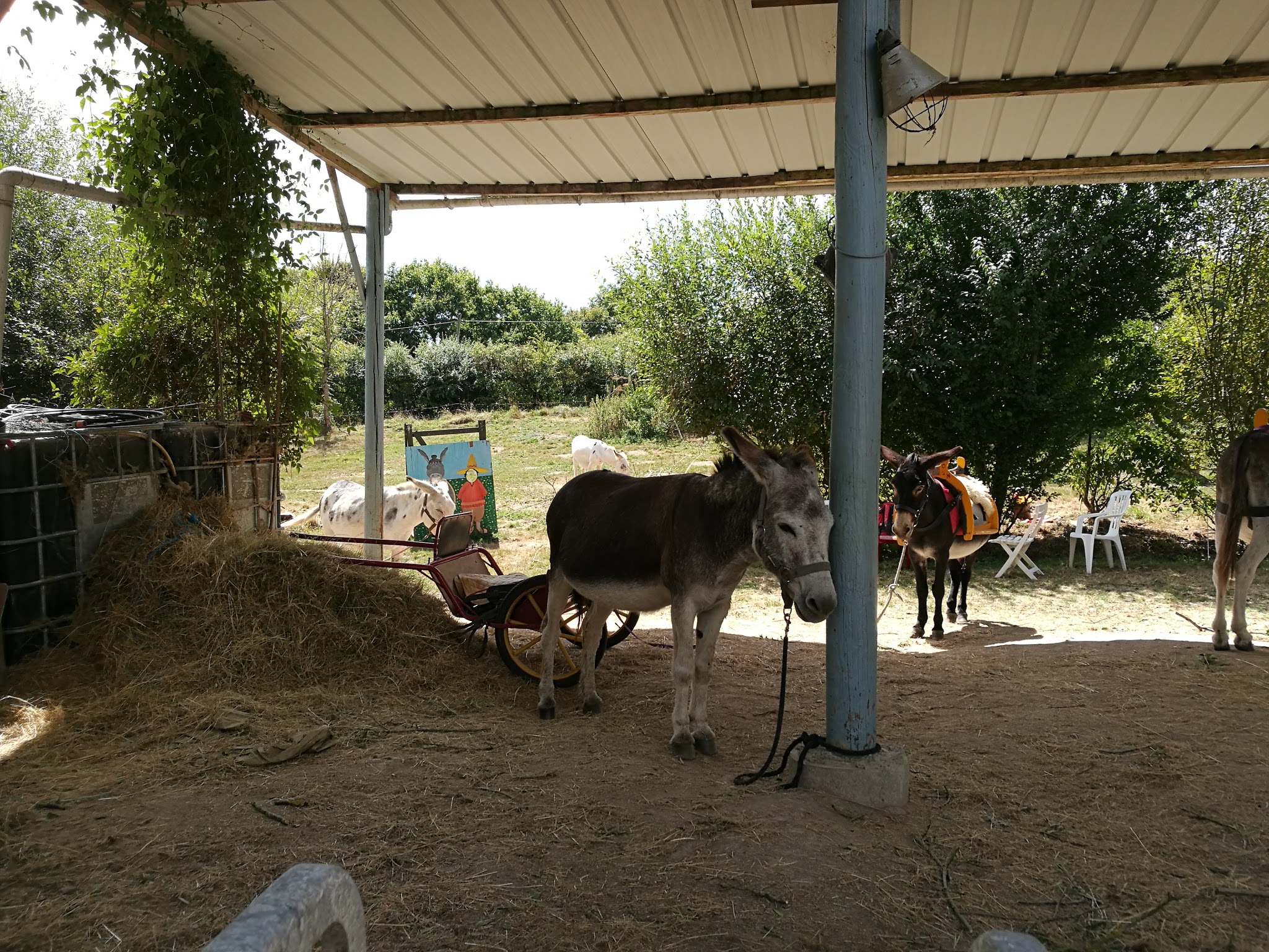 Photo n° 2 de l'avis de Emmanuel.a fait le 06/08/2016 à 17:19