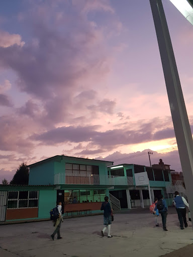 Escuela Primaria Profesor Telesforo Roldan Yáñez en Ixtapaluca