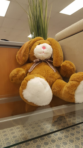 Department Store «T.J. Maxx», reviews and photos, 3940B Airport Blvd, Mobile, AL 36608, USA