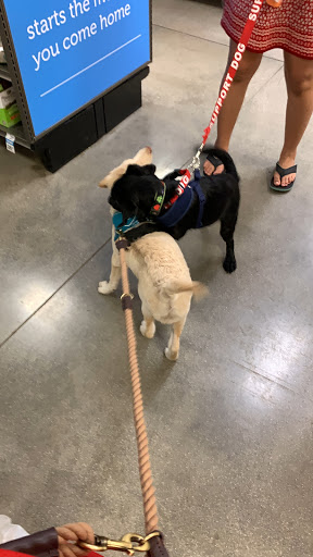 Pet Supply Store «Petco Animal Supplies», reviews and photos, 2910 Wilshire Blvd, Santa Monica, CA 90403, USA