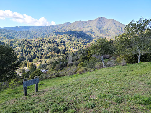 Mayor’s Lookout