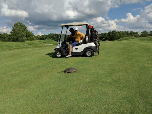 Golf Course «Moose Ridge Golf Course & Grille», reviews and photos, 11801 Doane Rd, South Lyon, MI 48178, USA