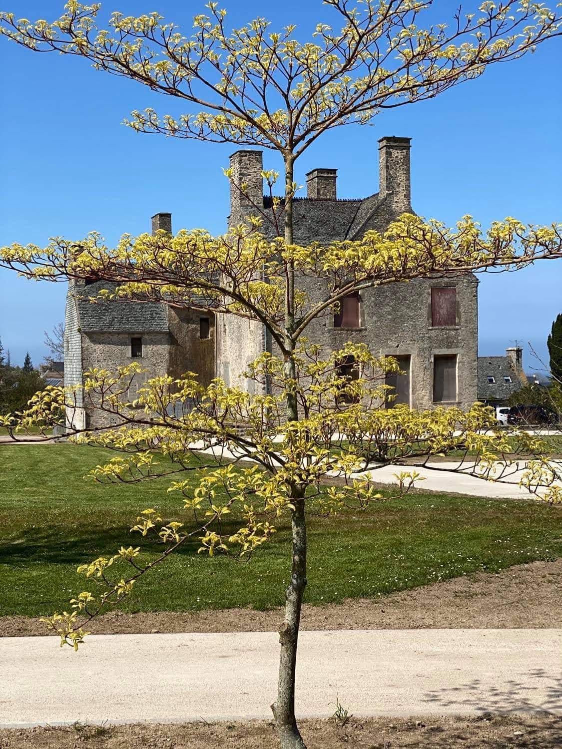 Photo n° 1 de l'avis de Aurelie.o fait le 14/04/2021 à 17:41