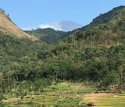 Candi Selogriyo photo