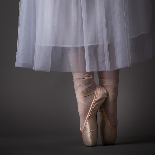 Dance School «Eisenhower Dance Center», reviews and photos, 103 South St, Rochester, MI 48307, USA