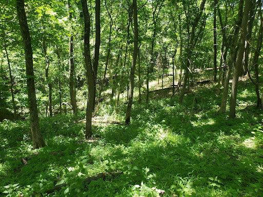 Nature Preserve «John M Olin Nature Preserve», reviews and photos, 2213 South Levis Lane, Godfrey, IL 62035, USA