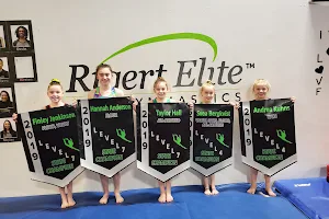 Rigert Elite Gymnastics image