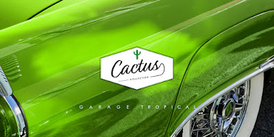Cactus Collection à Bazas