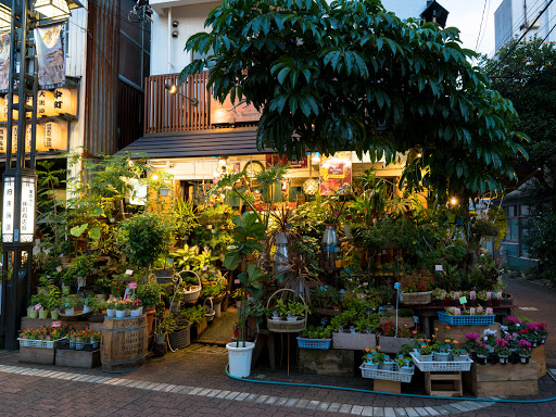 花の店やや