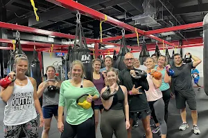 UFC Gym Clearwater image