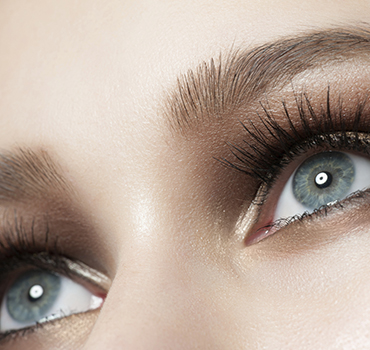 Beauty Brow Lash Bar