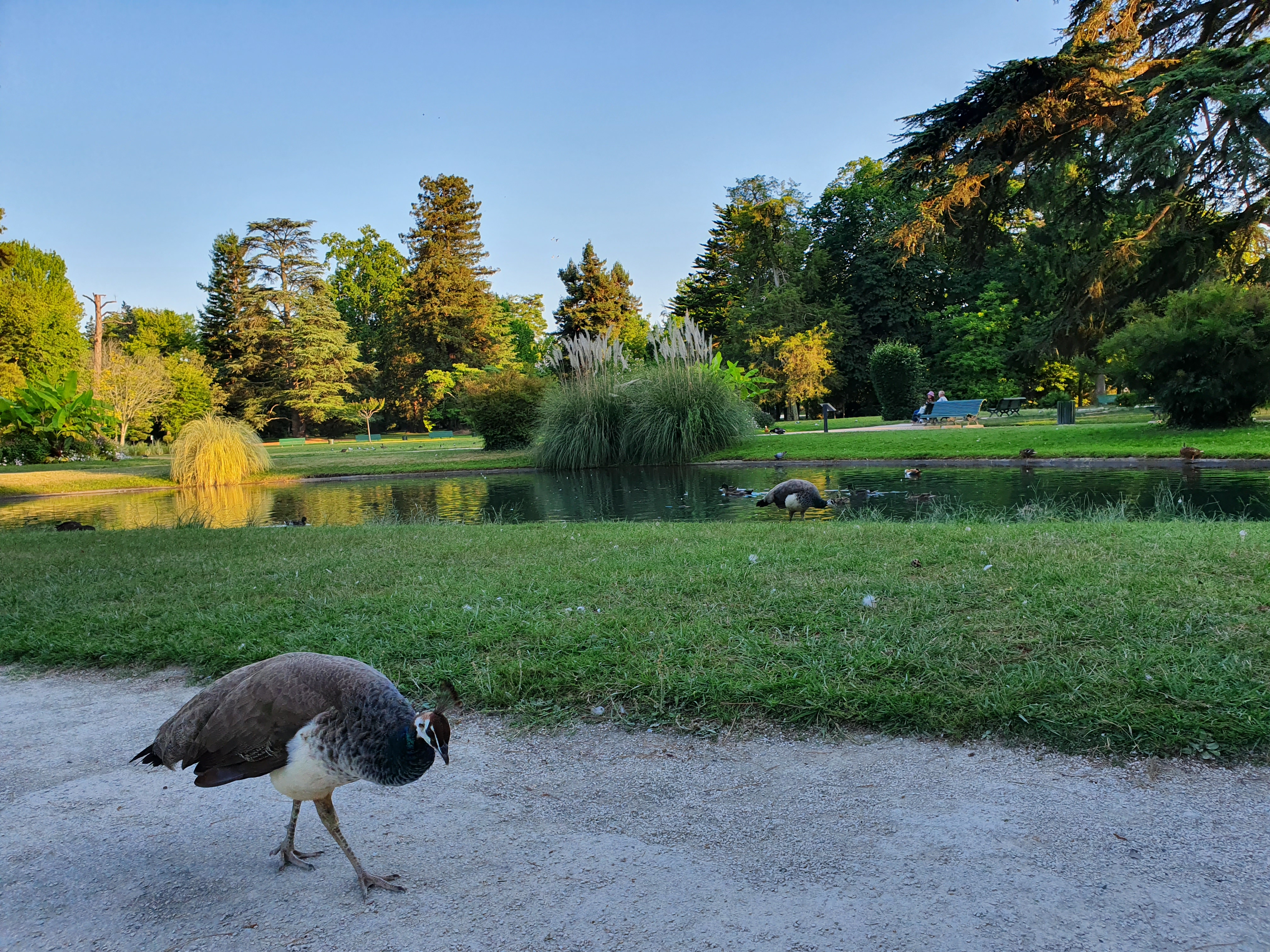 Photo n° 5 de l'avis de Guillaume. fait le 03/08/2019 à 21:31
