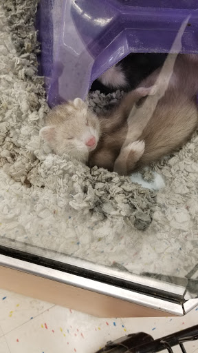 Pet Supply Store «Petco Animal Supplies», reviews and photos, 1309 W Main Rd, Middletown, RI 02842, USA