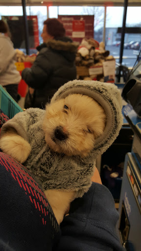 Pet Supply Store «PetSmart», reviews and photos, 2000 Clements Bridge Rd, Woodbury, NJ 08096, USA