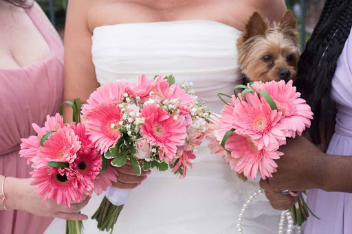 Bridal Shop «Fairytale Brides on a Shoestring Boutique», reviews and photos, 154 Congressional Ln, Rockville, MD 20852, USA