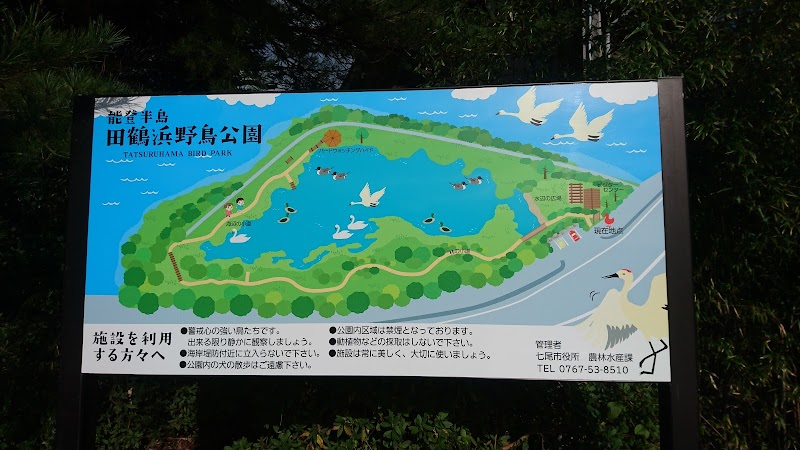 田鶴浜野鳥公園