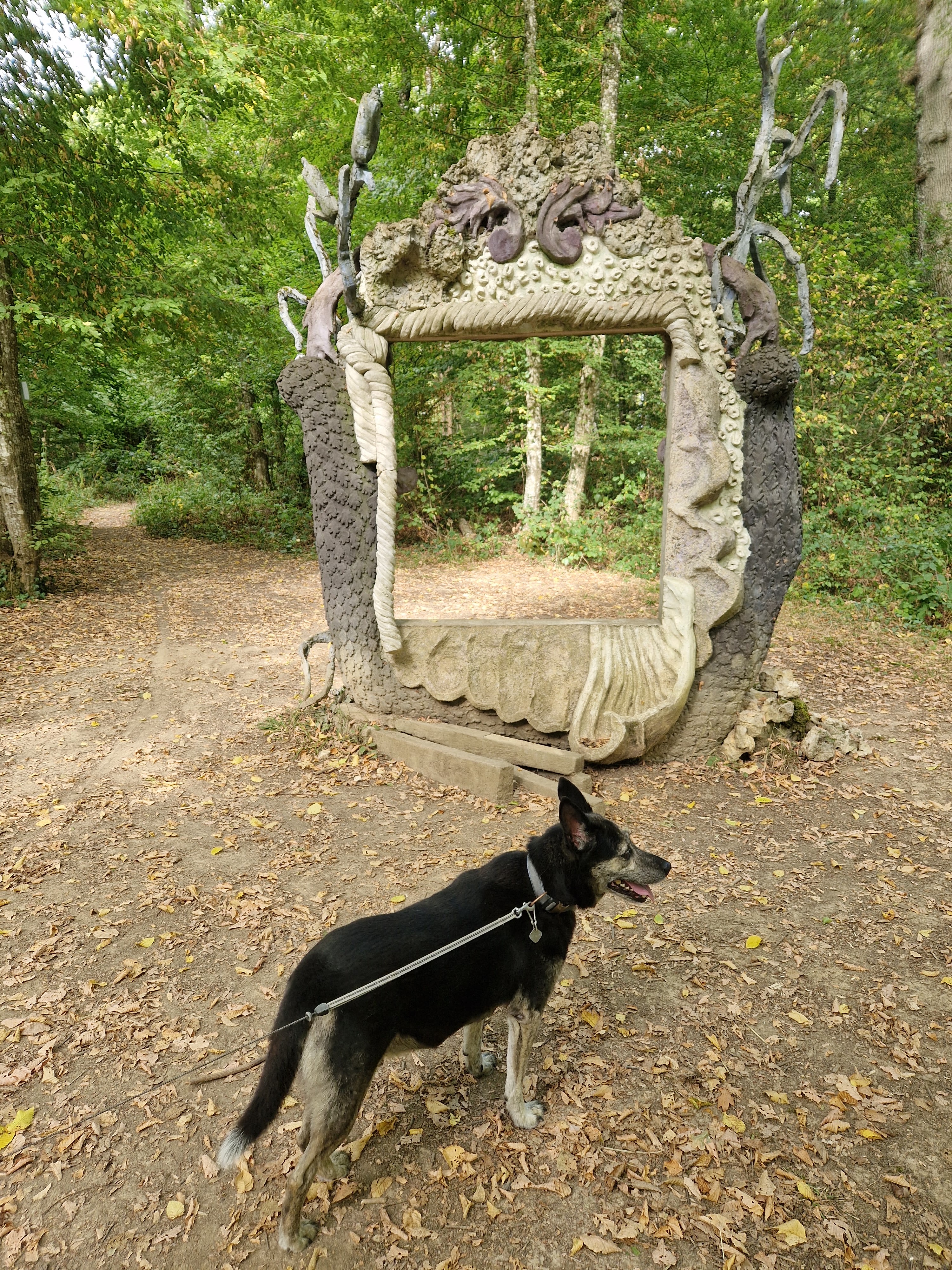 Photo n° 2 de l'avis de Helmut.e fait le 04/09/2022 à 17:23