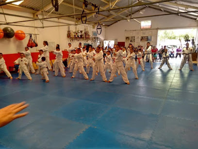 Instituto Supremo de Taekwondo Apatzingán