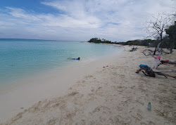 Innafinolhu Beach'in fotoğrafı vahşi alan