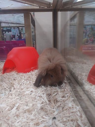 Pet Supply Store «Pet Supermarket», reviews and photos, 1080 Alafaya Trail, Oviedo, FL 32765, USA