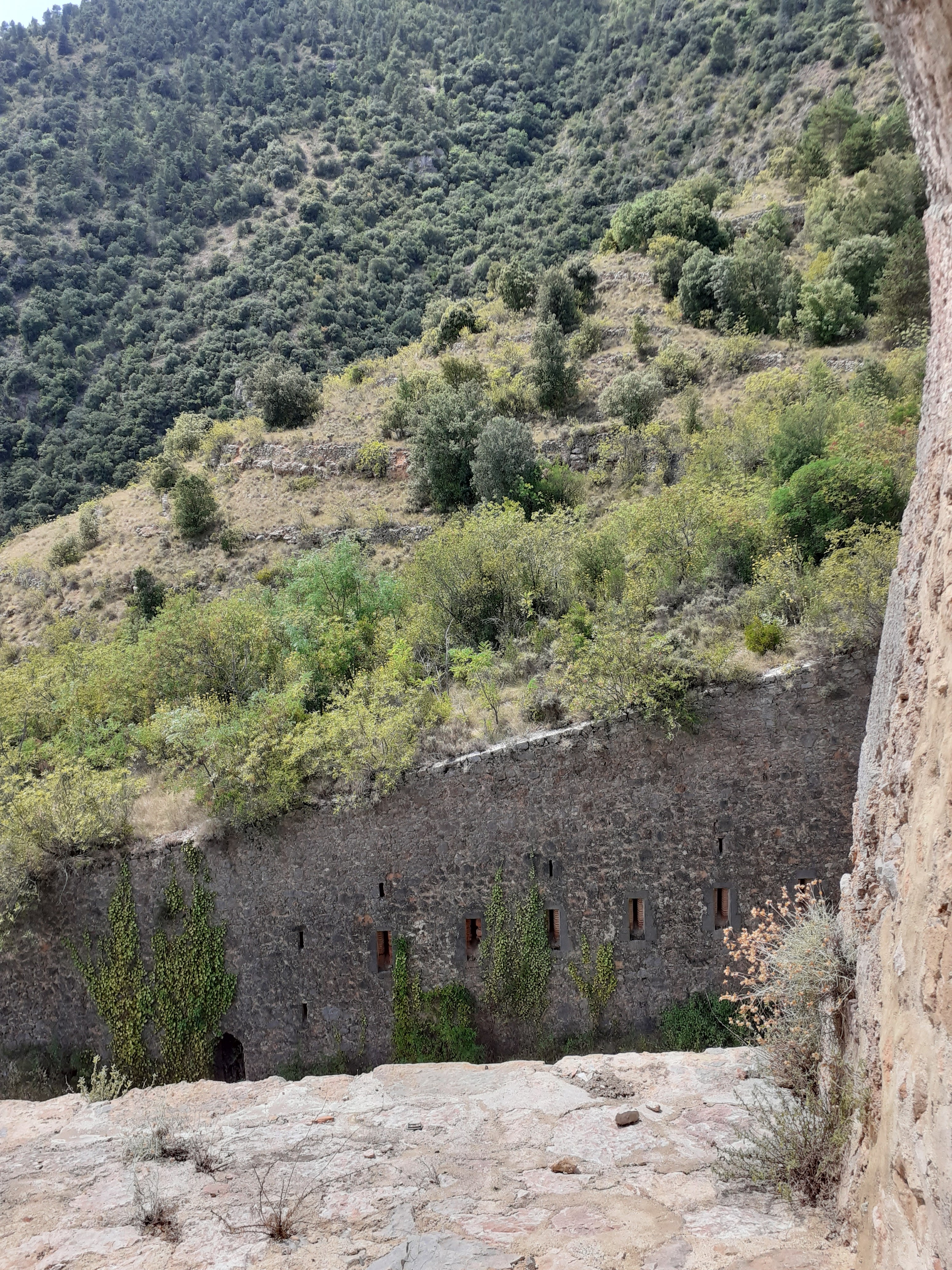 Photo n° 2 de l'avis de Claudine.l fait le 30/07/2022 à 21:23