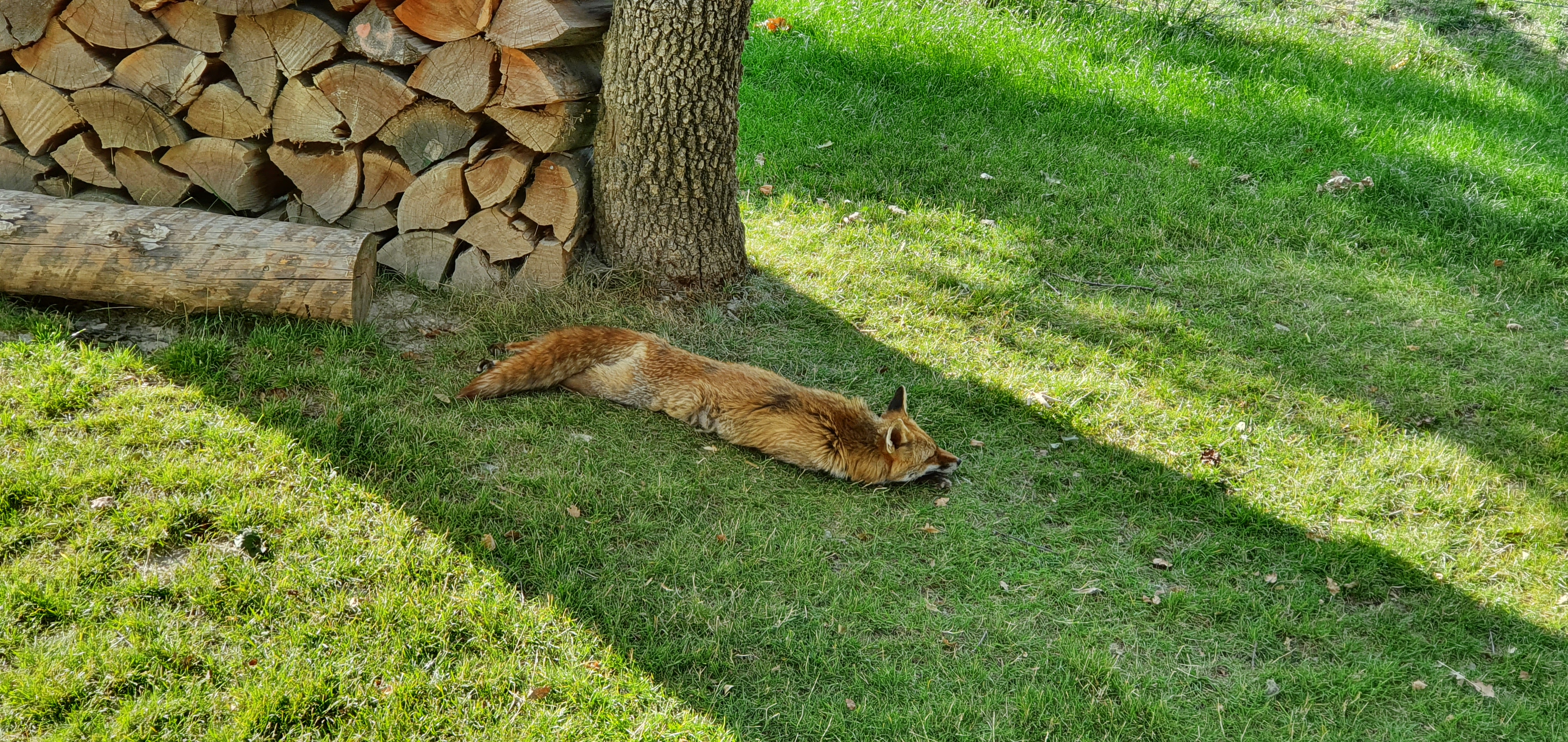 Photo n° 3 de l'avis de Alain.R fait le 30/08/2021 à 21:58