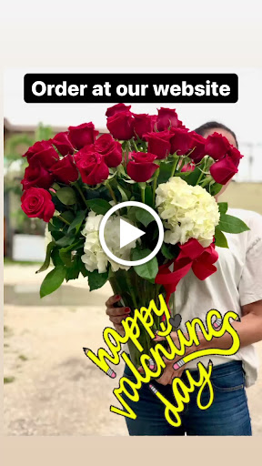 Florist «Enchantment Florist», reviews and photos, 1418 S Andrews Ave, Fort Lauderdale, FL 33316, USA