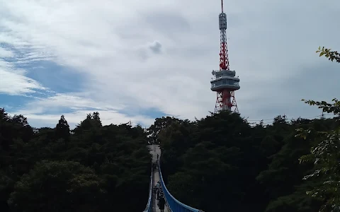 Hachimanyama Park Utsunomiya Tower image