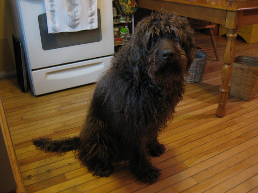 Aubuchon Hardware, 838 Lake St, Bristol, NH 03222, USA, 