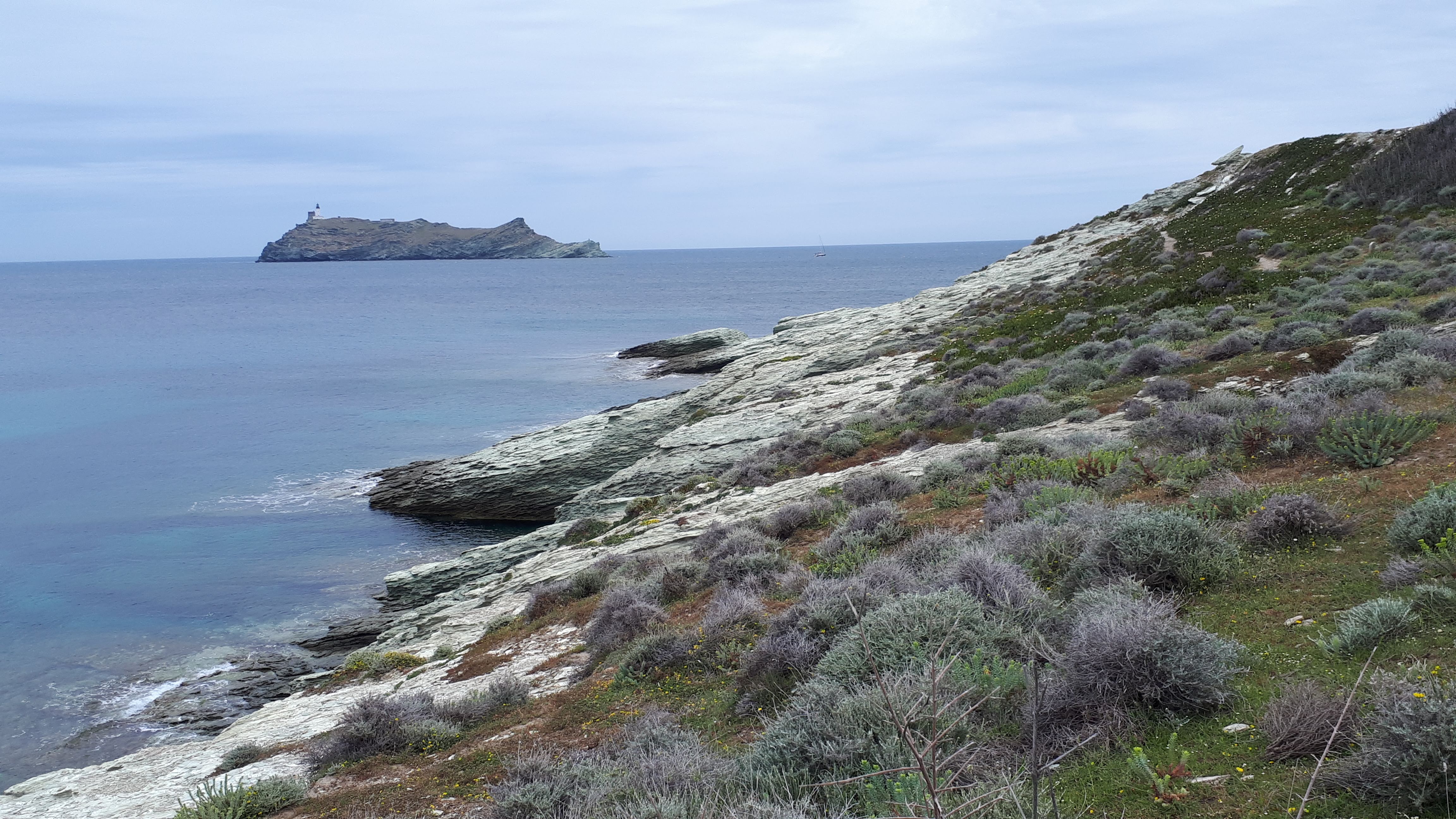 Photo n° 3 de l'avis de Pat.a fait le 05/06/2019 à 21:55