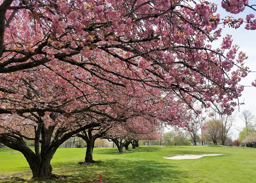 Golf Course «E. Gaynor Brennan Golf Course», reviews and photos, 451 Stillwater Ave, Stamford, CT 06902, USA