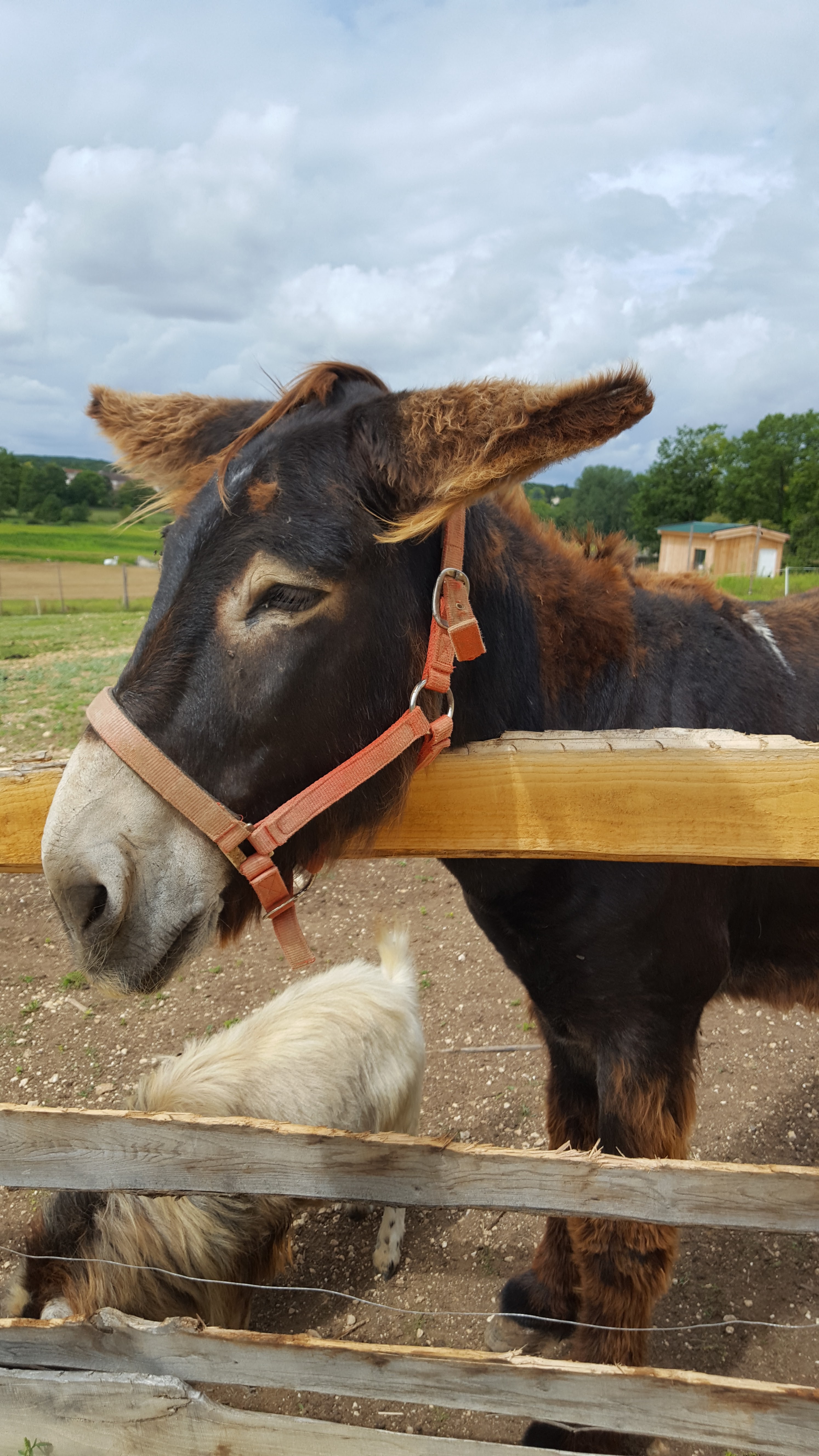 Photo n° 1 de l'avis de Marie.a fait le 28/08/2020 à 17:30