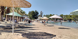 Zeytinli Beach'in fotoğrafı doğal alan içinde bulunmaktadır