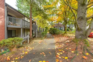 Oswego Pointe Apartments image