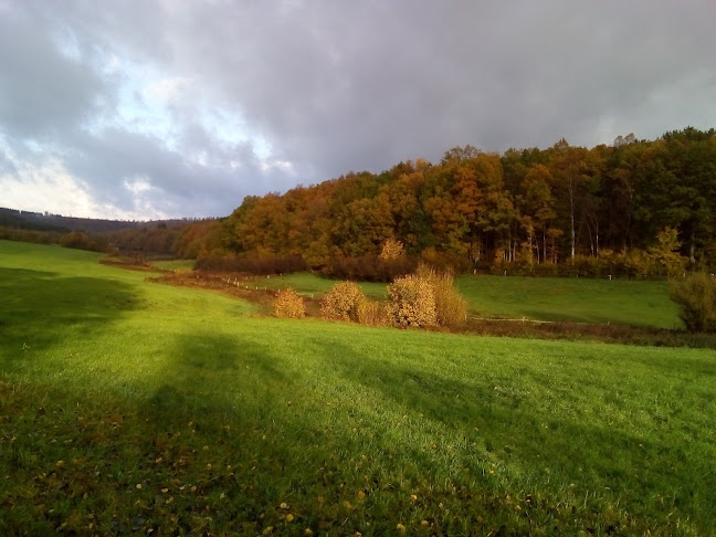 Rezensionen über Golfclub Siegerland in Reinach - Sportstätte