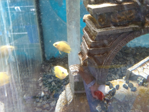 Pet Supply Store «Atlas Pet Supply», reviews and photos, 1798 Market Dr, Stillwater, MN 55082, USA